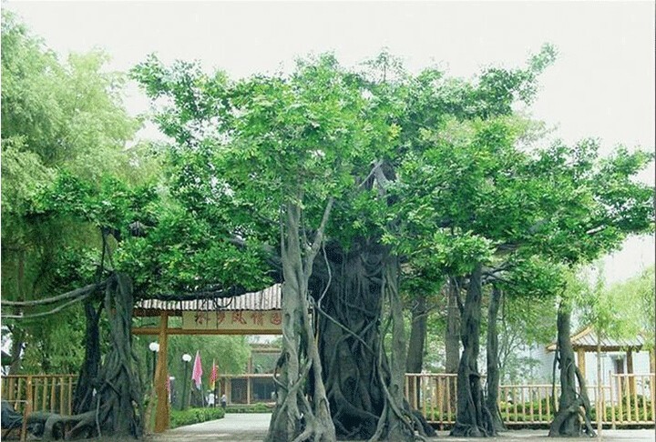 �����٘���T�����T�^��ɽ�T�^����Ř侰�^(q��)��ʯɽ�Tˮ���O(sh��)Ӌ(j��)ʩ��