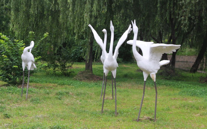 ������ô�@ô�ÿ�������䓵����f(shu��)��